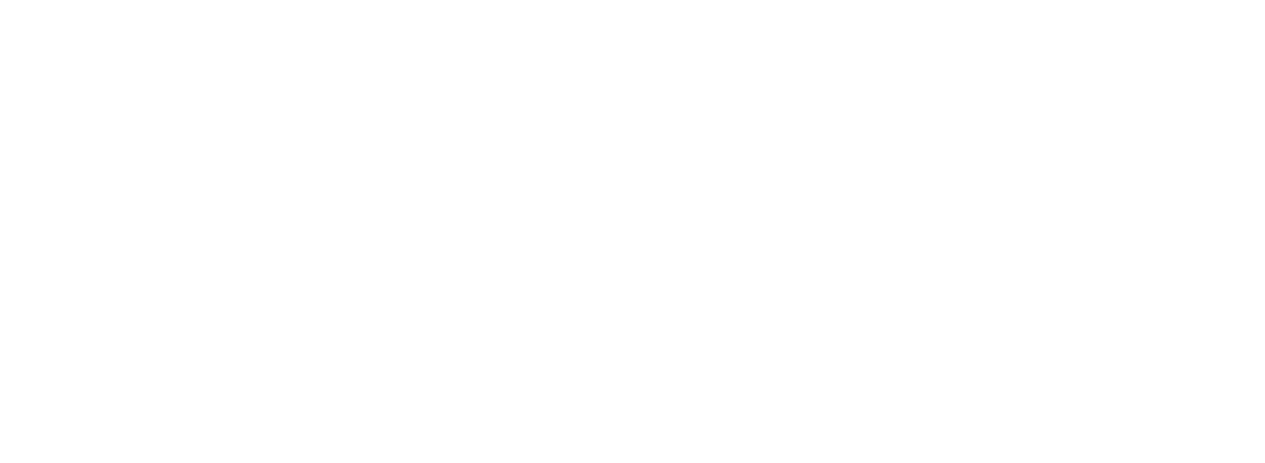 SHD Holter Digital